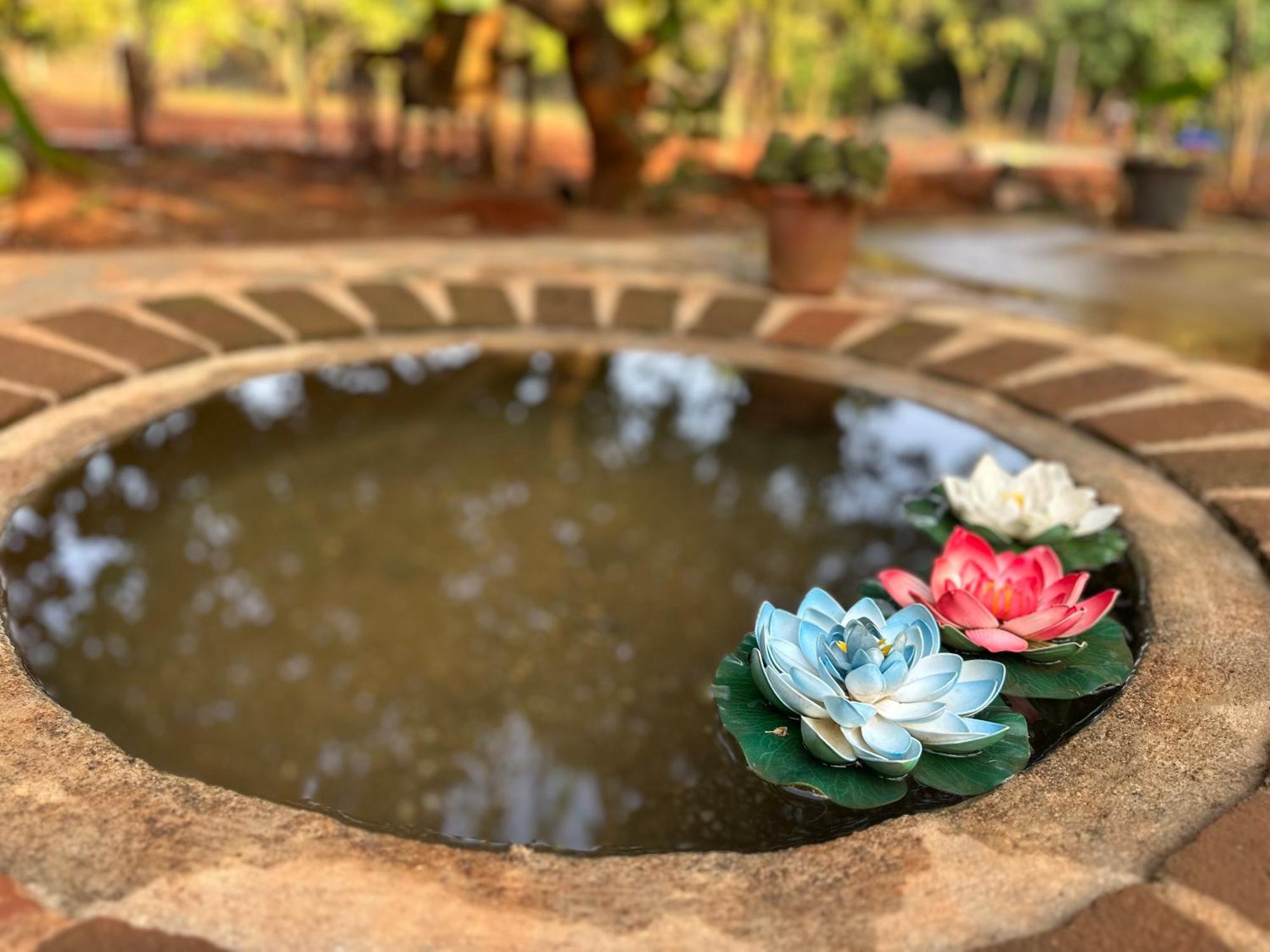 Lotus Garden Guest House Auroville Exterior foto