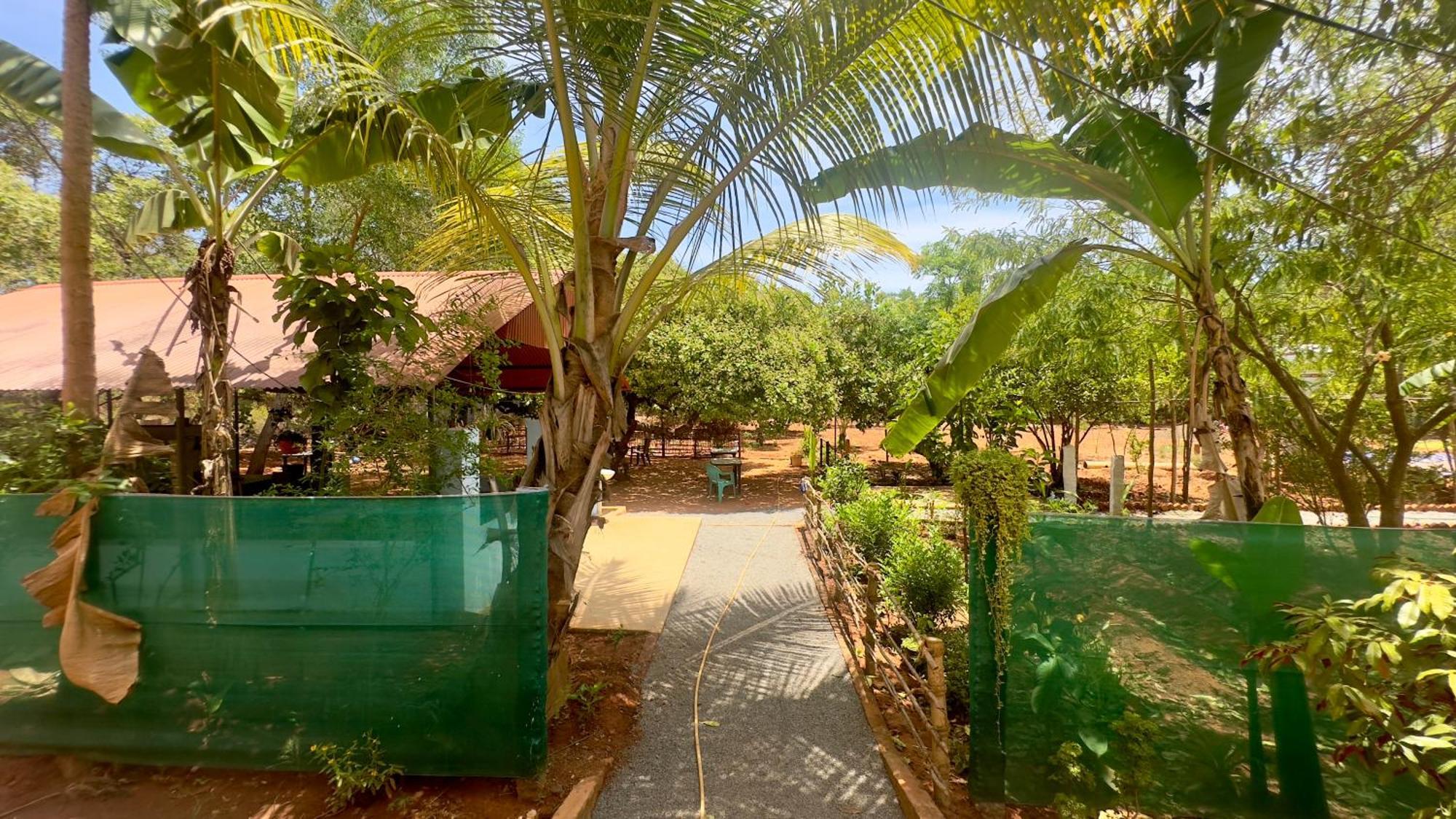 Lotus Garden Guest House Auroville Exterior foto