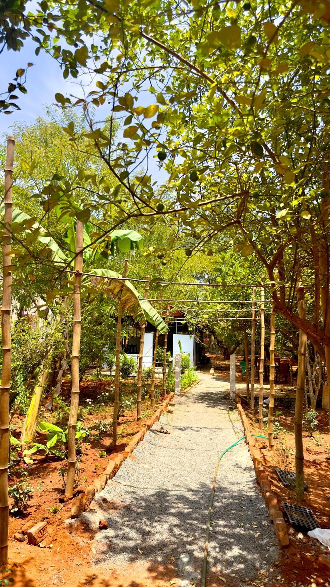 Lotus Garden Guest House Auroville Exterior foto